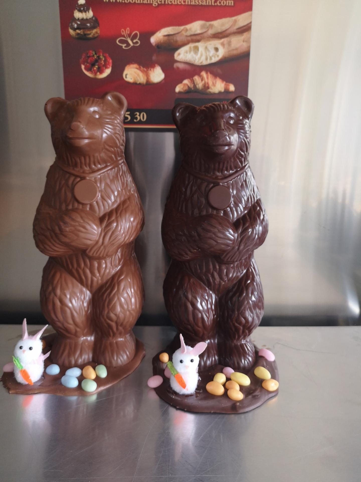 gros Ours chocolat